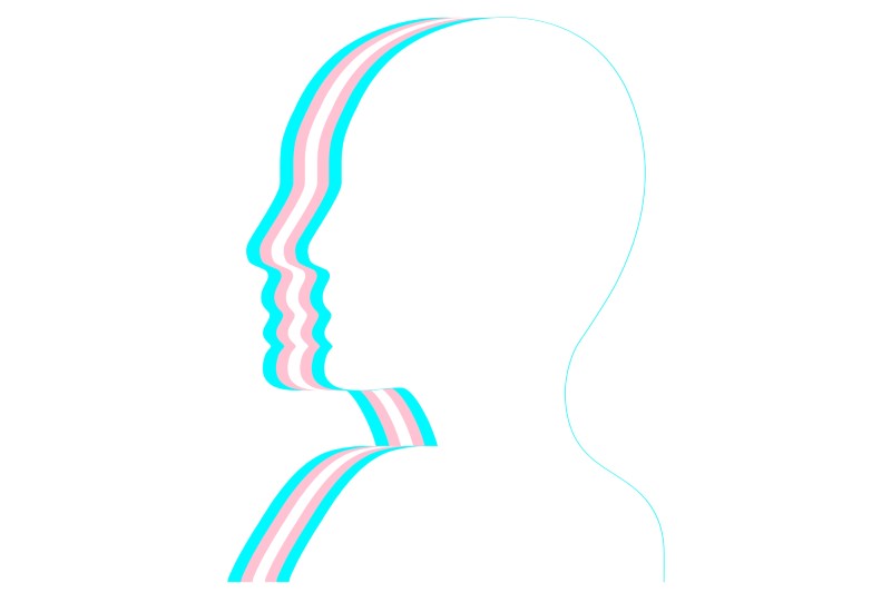 Line drawing of head with trans flag colours