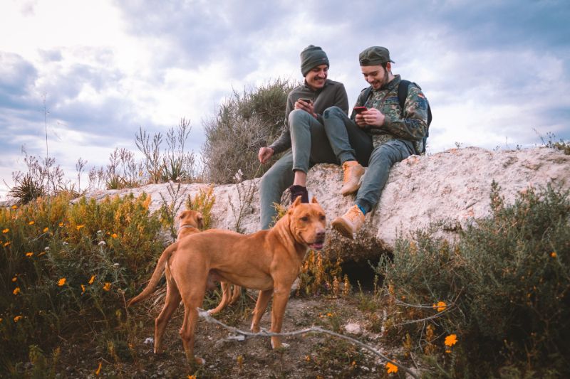 Two guys and a dog hanging out in nature